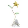 Lirio Florere