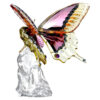Mariposa Idyllia