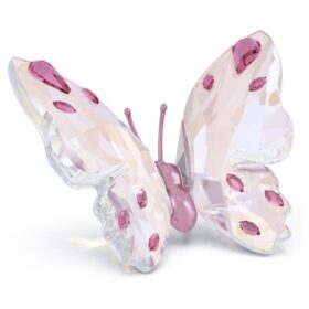 Mariposa Idyllia pequeña