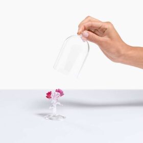 Ramo de rosas